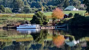 Cruises in Tasmania