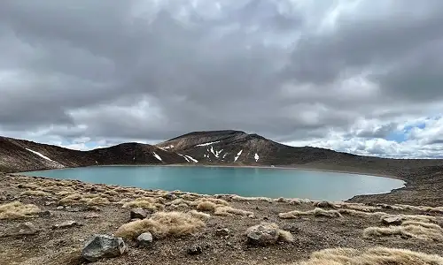 Turangi