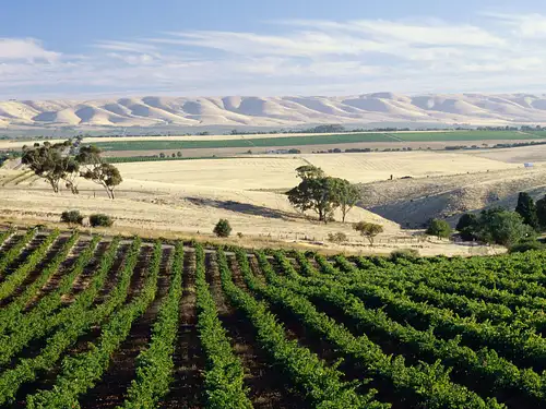 McLaren Vale
