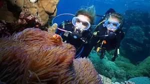Silversonic Great Barrier Reef Intro Dive