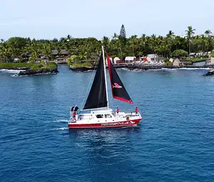 Afternoon Ali'i Snorkel Adventure | From Kona