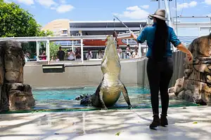 20230310 Croc cove - High-41.jpg