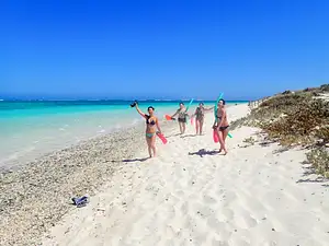 Ningaloo In A Day | Exmouth