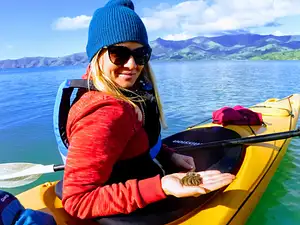 Akaroa E-Bike & Sea Kayak Explorer
