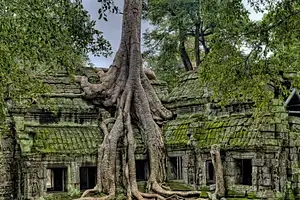 Tours to southeast asia