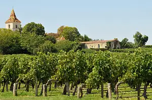 Chateaux and Terroirs on the Bordeaux Wine Roads | Guided Tour