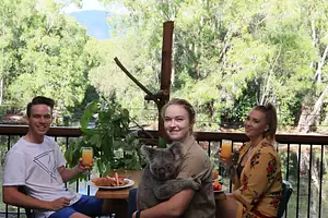 Hartley's Crocodile Adventures Breakfast with the Koalas