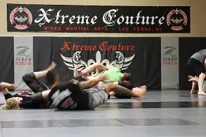 Vegas Fight Tour