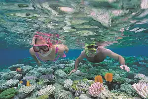 Fitzroy Island Full Day Tour