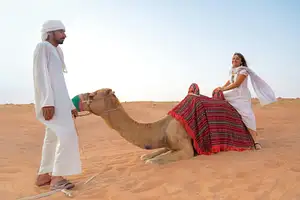 Dubai Desert Safari With BBQ Dinner & Local Driver - Standard ticket