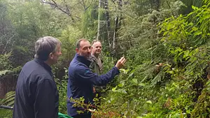 Coast and Rainforest Walk From Auckland