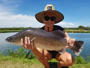 barramundi fishing farm