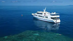 Vessel4.jpg