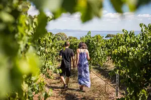 Melbourne Food and Wine Tour