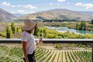 Boutique Wine Tour